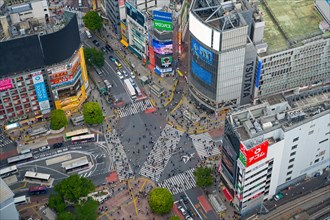 Pedestrians using the Shibuya Scramble Crossing, busy pedestrian intersection in Shibuya, special