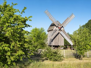 Mill, windmill, trestle windmill, Bad Dueben, Saxony, Germany, Europe