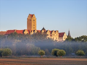 Ploetzkau Castle in the morning light with morning mist, Ploetzkau, Saxony-Anhalt, Germany, Europe