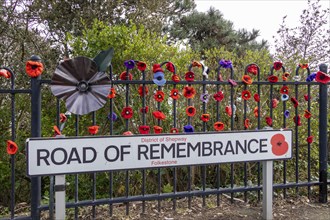 Road sign, Healed Flowers, Road of Remembrance, Folkestone, Kent, Great Britain
