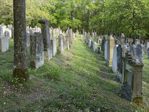 Old Jewish cemetery on the Judenhuegel near Kleinbardorf, municipality of Sulzfeld, Hassberge,