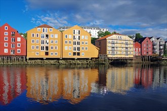 Wooden houses reflected in the calm waters of the River Nidarelva, Trondheim, Troendelag, Norway,
