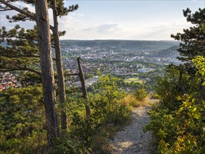 View from Mount Jenzig with hiking trail to the city of Jena in the evening light, Saale Valley,