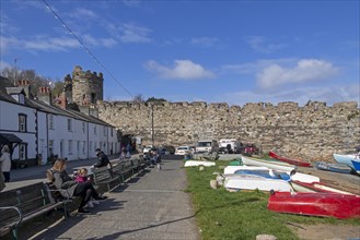 Houses, town wall, fishing harbour, Conwy, Wales, Great Britain