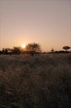 Landscape, Limpopo, South Africa, Africa