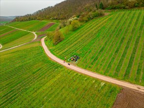 Aerial view of people moving along an agricultural path, Jesus Grace Chruch, Weitblickweg, Easter