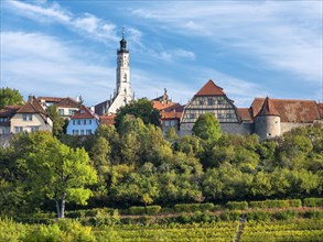 View of the historic old town with town wall, town hall tower and vineyard, Rothenburg ob der