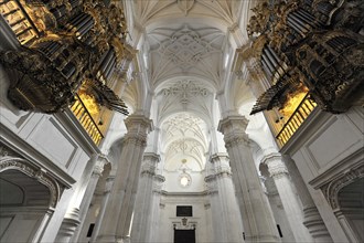 Organ, Cathedral of Santa Maria de la Encarnacion, Cathedral of Granada, Interior view of a baroque