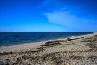 View on the Long Island Sound in early spring, USA, North America