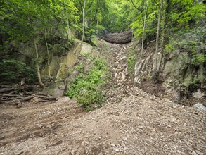 Landslide, debris flow, landslide, slowed by safety net, in the Bode Valley between Thale and