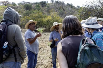 San Pablo Huitzo, Oaxaca, Mexico, Farmers are part of a cooperative that uses agroecological