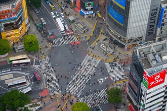 Pedestrians using the Shibuya Scramble Crossing, busy pedestrian intersection in Shibuya, special