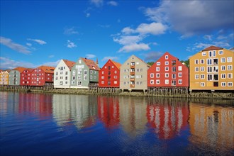 Wooden houses reflected in the calm waters of the River Nidarelva, Trondheim, Troendelag, Norway,