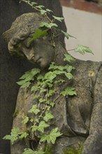 Ivy, mourning figure, symbolic photo death, mourning, North Cemetery, Wiesbaden, Hesse, Germany,
