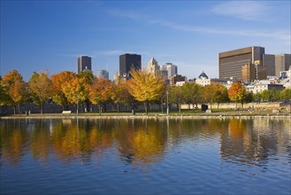 Row of Acer, Maple trees with orange and yellow leaves and Montreal skyline with Aldred, Place