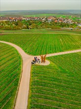 People standing at a fork in a vineyard with a village in the distance, Jesus Grace Chruch,