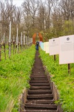 A staircase leads through a vineyard past modern art installations, surrounded by nature, Jesus