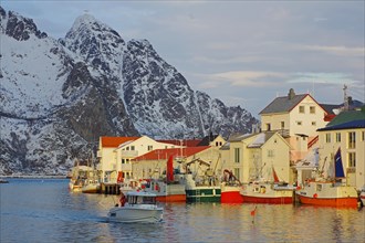 Fishing vessels in the last light of day in the harbour of Henningsvaer, Winter, Lofoten, Nordland,