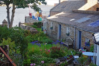 Quiet idyllic gardens in front of a small stone house, Stromness, Orkney Islands, Scotland, UK
