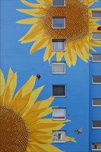 Sunflower house, painted sunflower and beetle on a skyscraper, artist Ulrich Allgaier, Wuppertal,