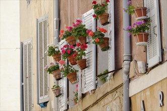 Marseille, Flower pots with red geraniums in front of white shutters on a house wall, Marseille,