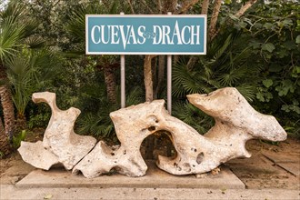 Drach caves in Porto Cristo, Mallorca, Spain, Europe