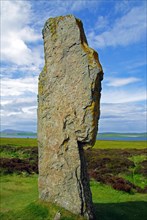 Standing stones from the Stone Age on a green meadow, Unesco World Heritage Site, Ring of Brodgar,