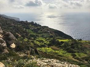 Coastal landscape in Malta, Mediterranean Sea, Republic of Malta