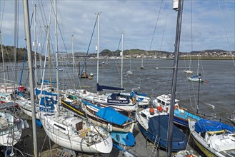 Sailing boats, Boat harbour, Conwy, Wales, Great Britain