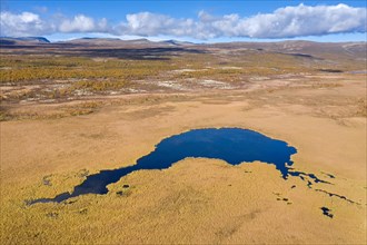 Aerial view over pond in marshland in autumn, fall at Hedmark, Innlandet, Eastern Norway
