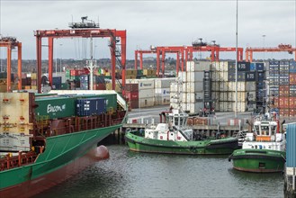 Container ship, container bridge, container, tugboat, harbour, Dublin, Republic of Ireland