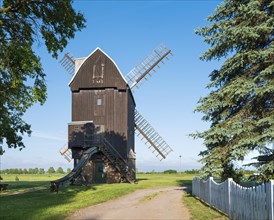 Haedicke mill, windmill, trestle windmill, Brehna, Saxony-Anhalt, Germany, Europe
