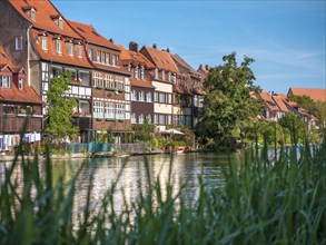 Row of houses Little Venice on the banks of the Pegnitz, Bamberg, Upper Franconia, Bavaria,