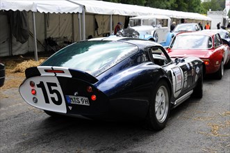 Rear view of a dark blue sports car with the number 15, SOLITUDE REVIVAL 2011, Stuttgart,