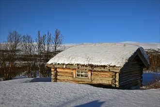Log cabin in the evening light in the snow, Dovrefjell Sunndalsfjella National Park, Norway, Europe