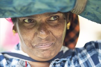 Indian tea picker carrying a large bag of tea leaves on her head, portrait, Munnar, Kerala, India,