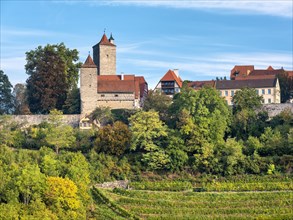 View of the historic old town with town wall, defence towers and vineyard, Rothenburg ob der