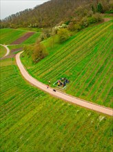 People walking on a path through a green vineyard, Jesus Grace Chruch, Weitblickweg, Easter hike,