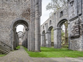 Arnsburg Abbey, ruins of the Romanesque abbey church, Lich. Hesse, Germany, Europe