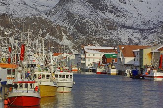 Fishing vessels in the last light of day in the harbour of Henningsvaer, Winter, Lofoten, Nordland,