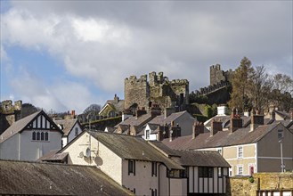 Houses, town wall, Conwy, Wales, Great Britain