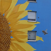 Sunflower house, painted sunflower and bee on a tower block, artist Ulrich Allgaier, Wuppertal,
