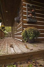 Long old and worn brown stained veranda with fallen tree leaves and decorated with yellow flowers