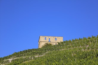 Yburg, Y-Burg, Yberg, Eibenburg, ruins of a hillside castle, historic building, built in the early
