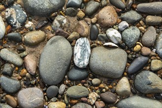 Stones, beach, LLanddwyn Bay, Newborough, Isle of Anglesey, Wales, Great Britain