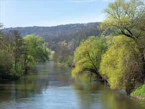 A calm river flows through a spring-like forest landscape under a clear sky, spring on the river