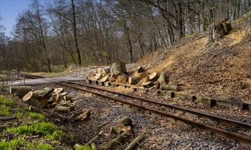 Narrow-gauge railway bed of the Raging Roland, Ruegen, Mecklenburg-Western Pomerania, Germany,