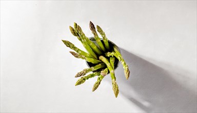 Green asparagus casting a long shadow on a white surface, AI generated, AI generated