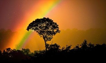 Colorful rainbow after spring rain, rainbow on dark cloudy sky AI generated