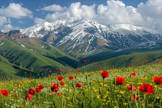 A breathtaking view of a snow-capped mountain surrounded by lush green hills, adorned with vibrant